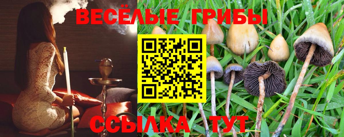 Псилоцибиновые грибы Cubensis  Вход с VPN  где можно купить   Североуральск 